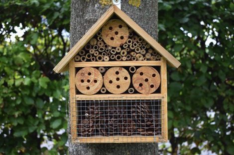 First Hotel Aalborg insect hotel